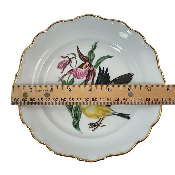 SCHUMANN Arzberg Bavaria Bird Plates Gold Rimmed American Goldfinch 8” Vintage - Picture 9 of 11